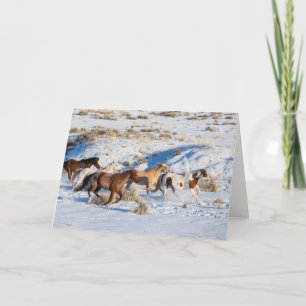 Tarjeta Conducción de caballos en invierno en Hideout Ranc