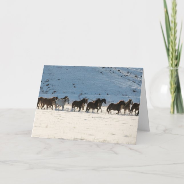 Tarjeta Conducción de caballos en invierno en Hideout Ranc (Anverso)