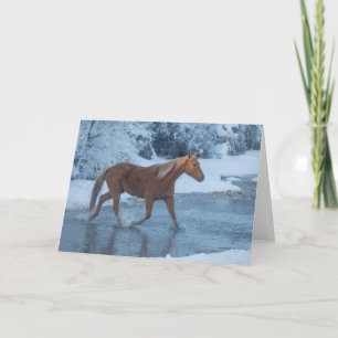 Tarjeta Conducción de caballos en invierno en Hideout Ranc