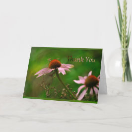 Tarjeta Cone Flower 1 "Gracias"