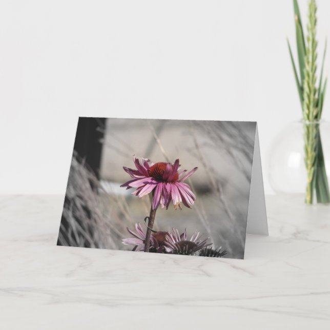 Tarjeta Conefarrias (Anverso)