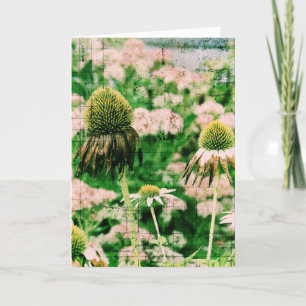 Tarjeta Coneflowers Grunge, Cumpleaños