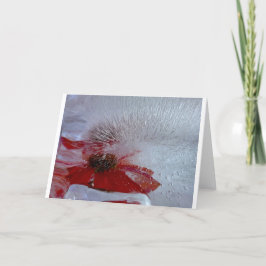 Tarjeta Conefluencia en hielo,