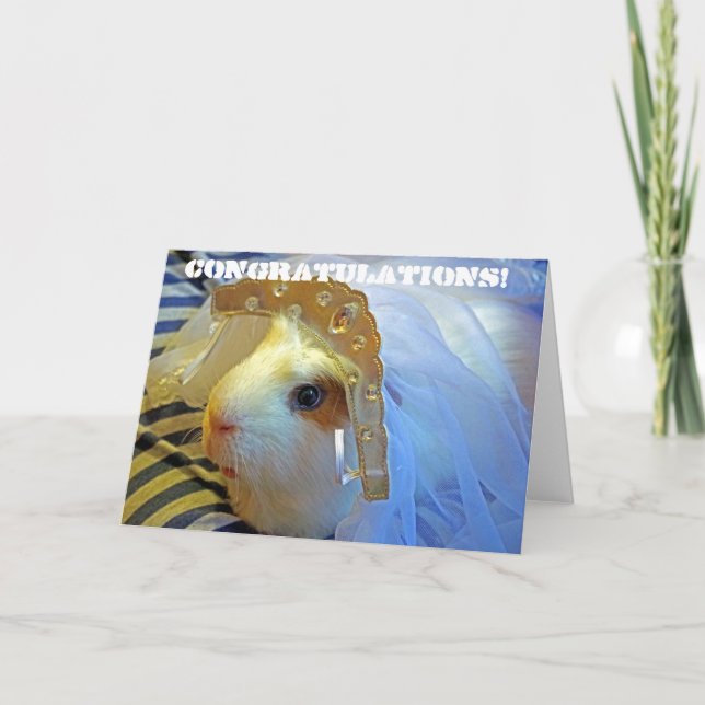 Tarjeta conejillo de Indias con un velo (Anverso)