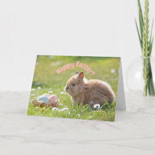 Tarjeta Conejito de Pascua con Huevos Pintados  
