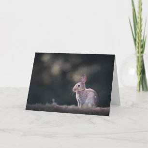 Tarjeta Conejito de Pascua Foto de Naturaleza Adorable
