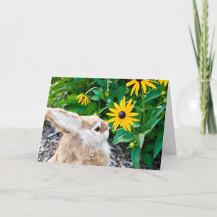 Tarjeta conejito en el jardín