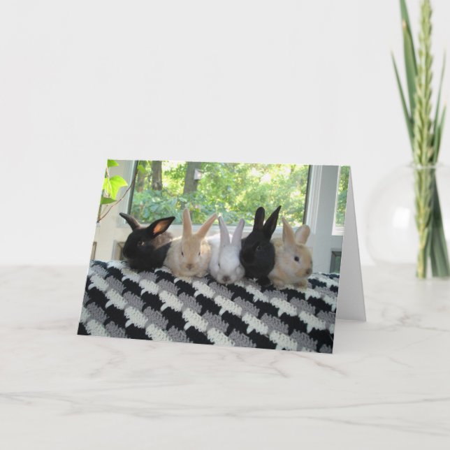 Tarjeta Conejitos (Anverso)