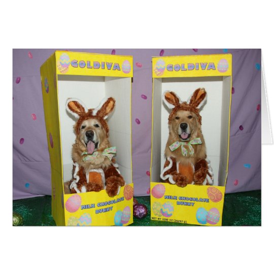 Tarjeta Conejitos del chocolate del golden retriever