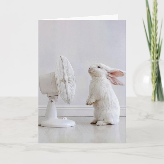 Tarjeta Conejo blanco de orejas caídas cumpliendo años ref (Anverso)