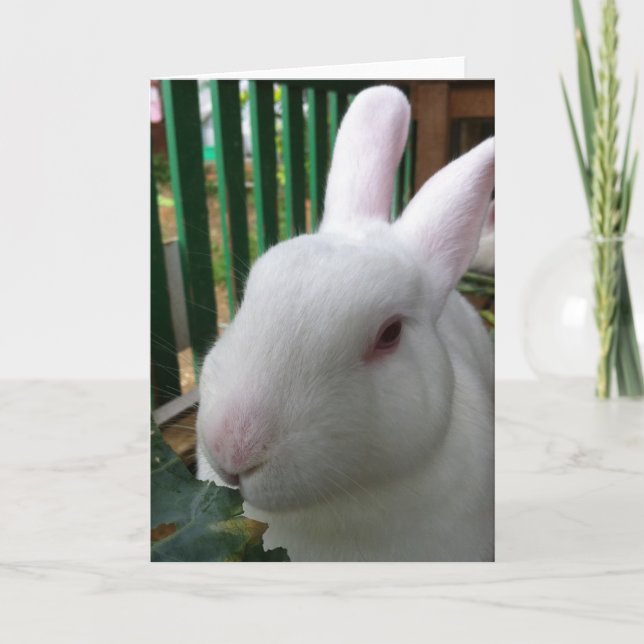 Tarjeta Conejo Cute (Anverso)