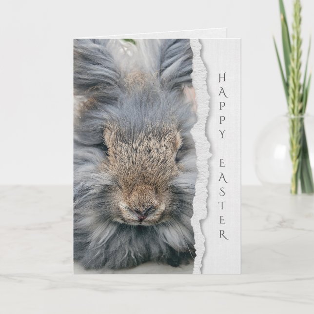 Tarjeta conejo de angora gris para Pascua (Anverso)