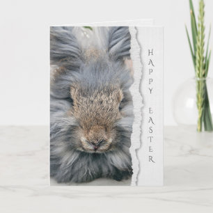 Tarjeta conejo de angora gris para Pascua