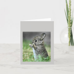 Tarjeta Conejo de bebés