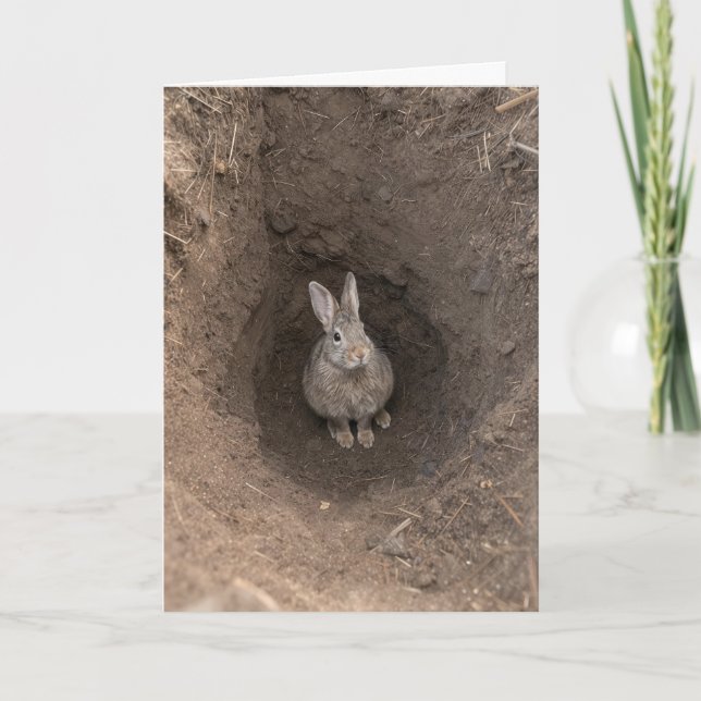 Tarjeta Conejo de cumpleaños en agujero de tierra (Anverso)