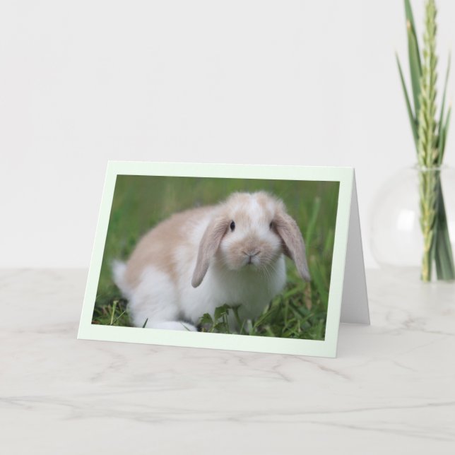Tarjeta Conejo de Holanda Lop del bebé (Anverso)