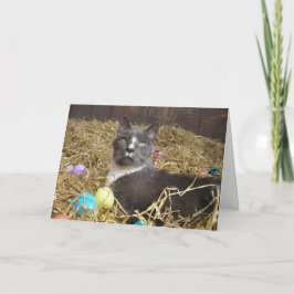 Tarjeta Conejo de Pascua disfrazado