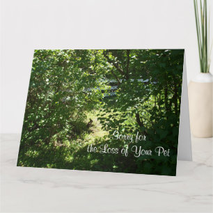 Tarjeta Conejo - Pérdida de un Mascota