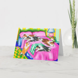 Tarjeta Confort rosa Sheltie