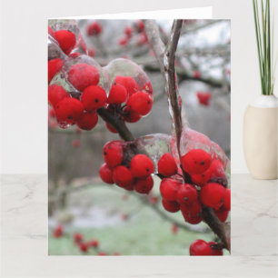 Tarjeta Congelación de invierno y hielo en Berries Rojas