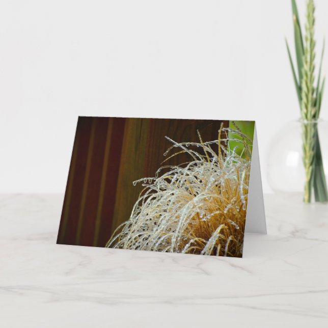 Tarjeta Congelamiento invernal, carta (Anverso)