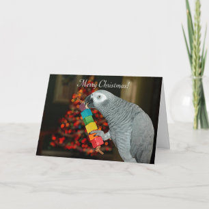 Tarjeta Congo: Loro gris africano, árbol navideño