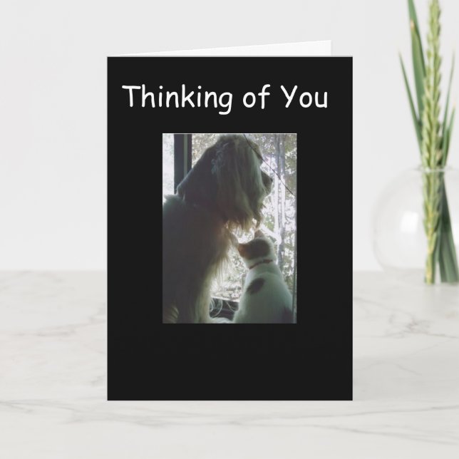 TARJETA CONGRAMAS QUE AHORA ESTÁS **A ADOLESCENTE** CUMPLE (Anverso)