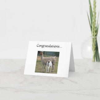 Tarjeta Congratulations...