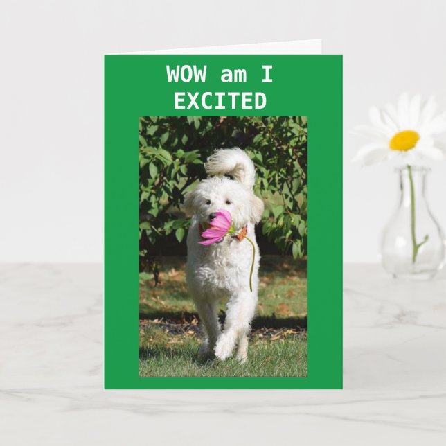 TARJETA CONGRATULATIONS ON YOUR **PROMOTION** (Planta pequeña)