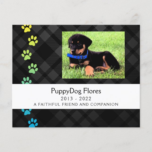 tarjeta conmemorativa de pérdida de mascota de pla (Anverso)