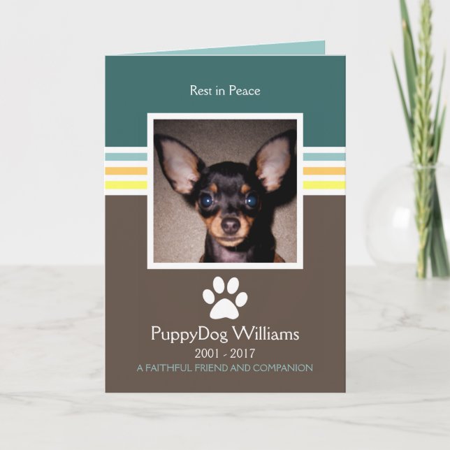 tarjeta conmemorativa de pérdida de mod mascota (Anverso)