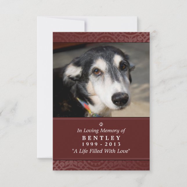 Tarjeta conmemorativa de perro de 3.5" x 5 rojo no (Anverso)
