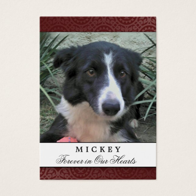 Tarjeta conmemorativa del mascota Foto de marrón - (Frente)