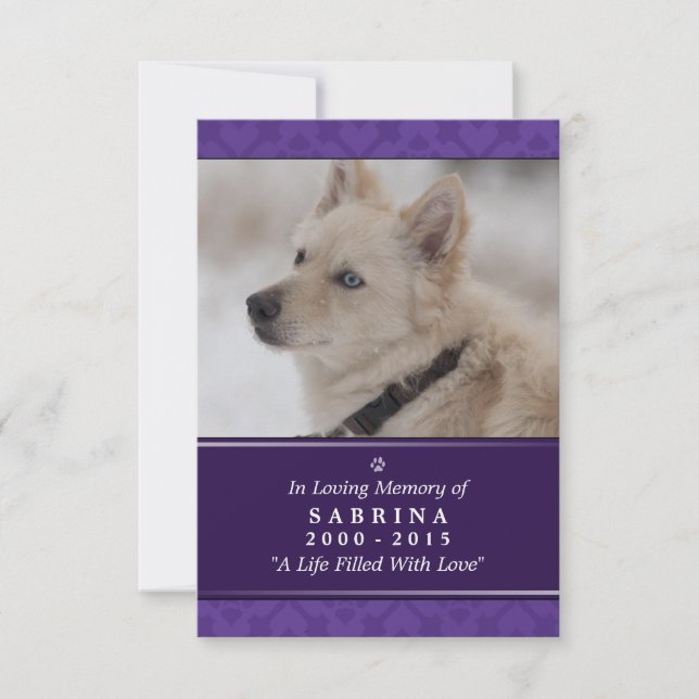 Tarjeta conmemorativa Dog de 3,5" x 5" - Fotografí (Anverso)