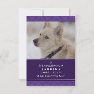 Tarjeta conmemorativa Dog de 3,5" x 5" - Fotografí