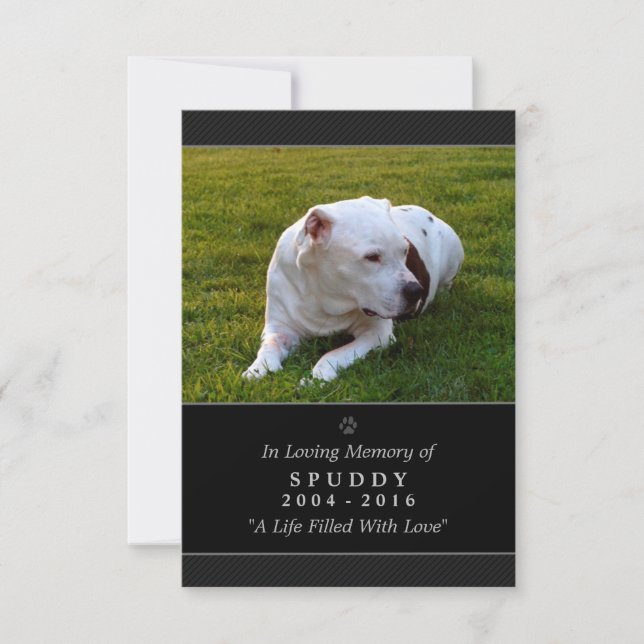 Tarjeta conmemorativa mascota 3.5"x5", foto modern (Anverso)