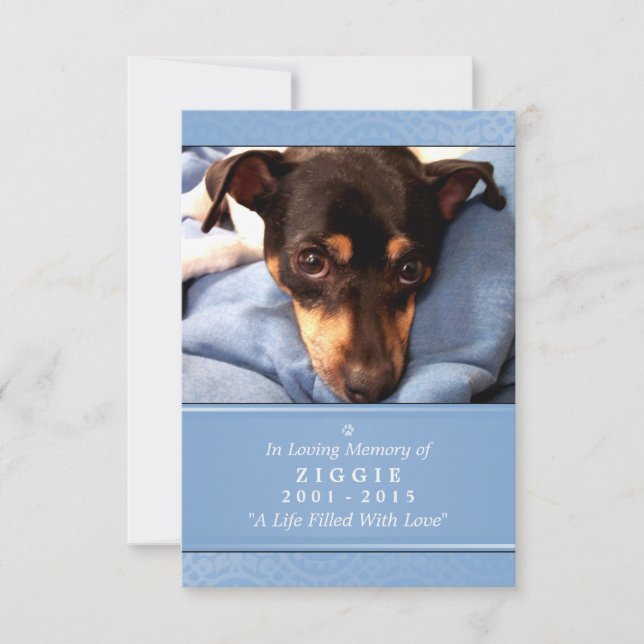 Tarjeta conmemorativa mascota 3.5 x 5 Dios azul te (Anverso)