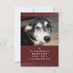 Tarjeta conmemorativa mascota 3.5 x 5 Marrón que D