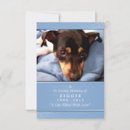Tarjeta conmemorativa mascota 3.5 x 5 Mascota azul