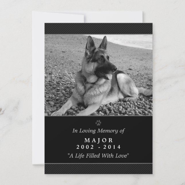 Tarjeta conmemorativa mascota 5"x7" Black Modern - (Anverso)