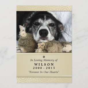 Tarjeta conmemorativa mascota 5"x7" Crema moderna 