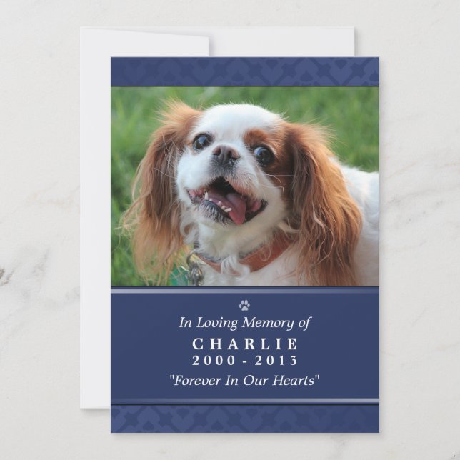 Tarjeta conmemorativa mascota 5"x7" foto azul de l (Anverso)