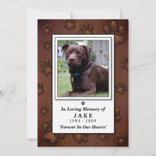 Tarjeta conmemorativa mascota 5"x7" - Foto marrón