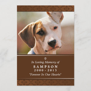 Tarjeta conmemorativa mascota 5"x7", foto mediana 