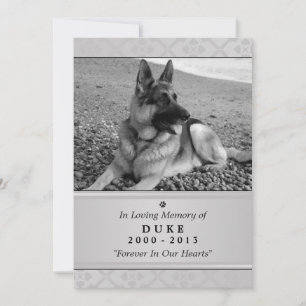 Tarjeta conmemorativa mascota 5"x7" Gris moderno -