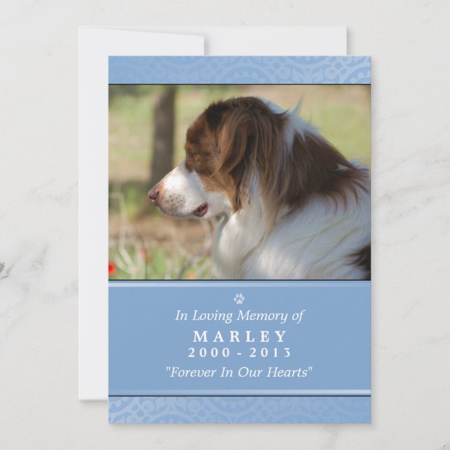 Tarjeta conmemorativa mascota 5"x7" Mascota azul c (Anverso)
