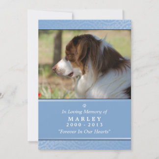 Tarjeta conmemorativa mascota 5"x7" Mascota azul c