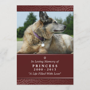 Tarjeta conmemorativa Mascota 5"x7" Puente arco ir