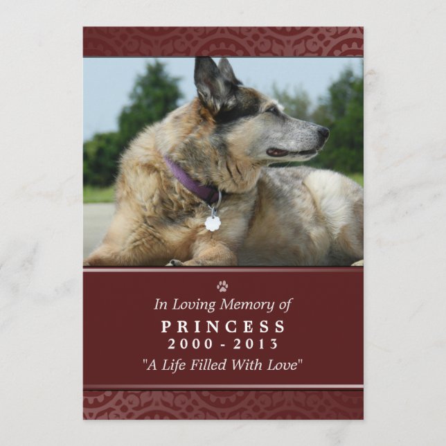 Tarjeta conmemorativa mascota 5"x7" Puente arcoiri (Anverso)