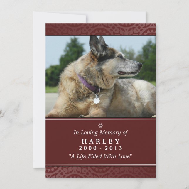 Tarjeta conmemorativa mascota 5"x7" Puente arcoiri (Anverso)